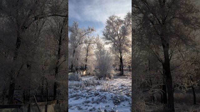 Кайфани тоже с момента ❄️