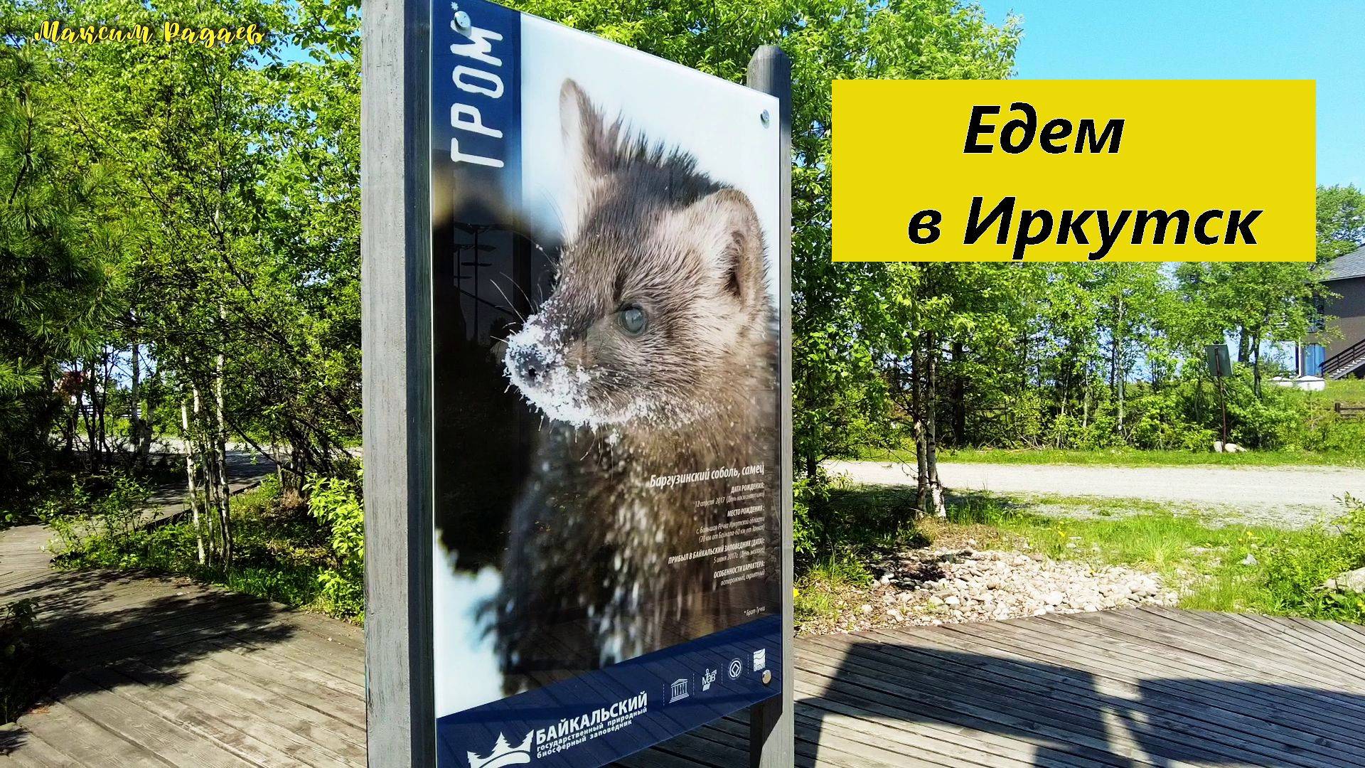 Едем в Иркутск (16.06.2024)#travel.