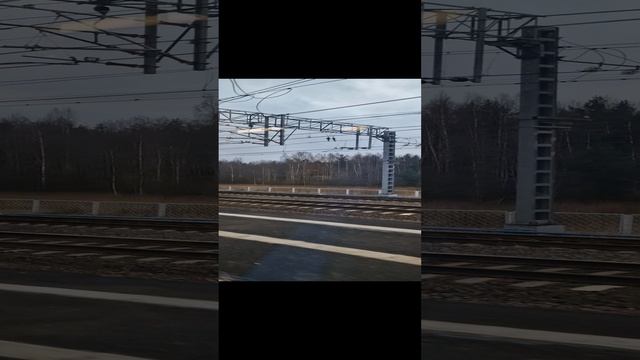 Дорога домой!