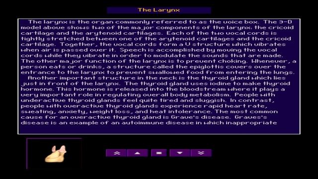 The Larynx (HD) from 3-D Body Adventure MS-DOS/Packard Bell Version