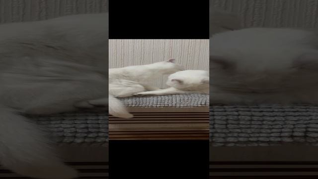 Чистота залог здоровья