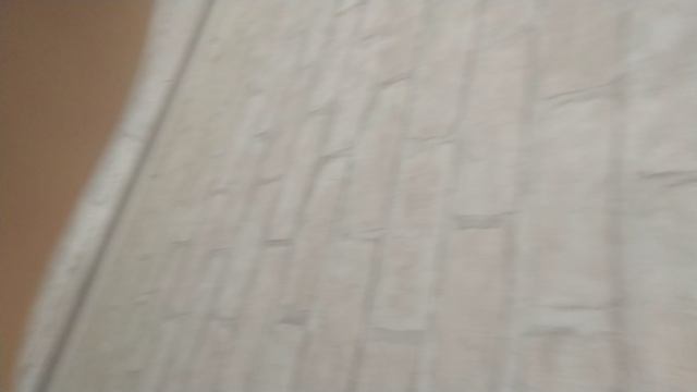 VID_20241209_173542.mp4