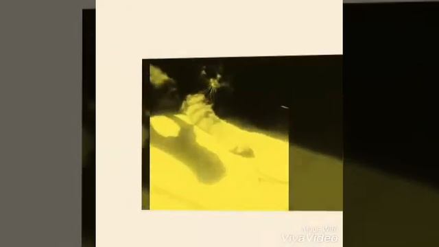 Минни фильм для вас от Симы