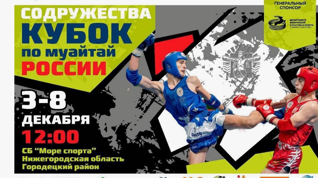 Кубок содружества Тайский Бокс Нижний Новгород 2024 год Доминик Красный угол 1/8 финала