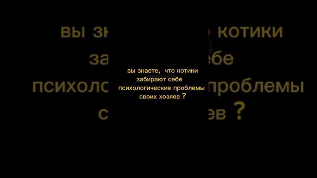 scene_output.mp4