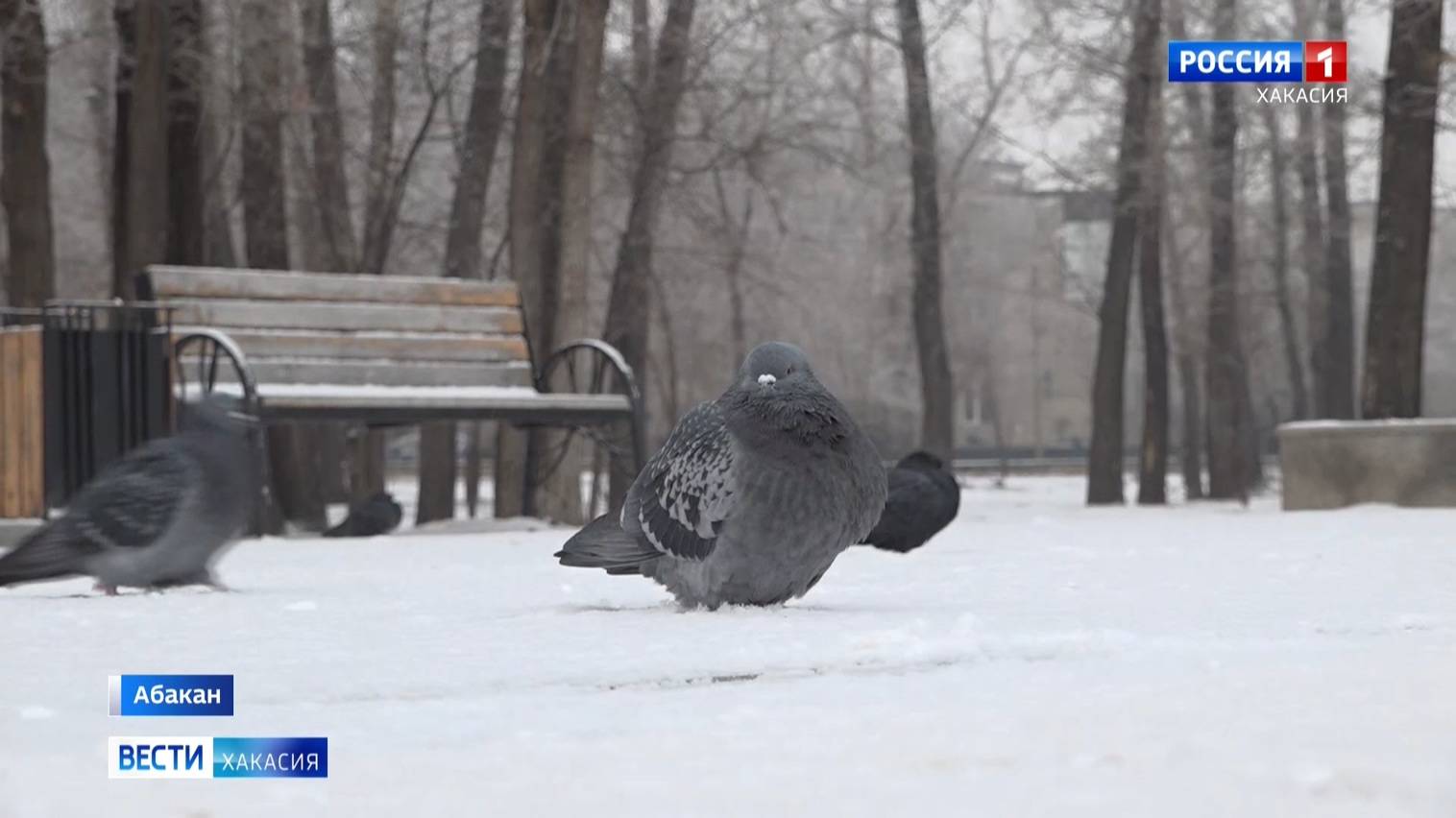 В республику приходит настоящая зима