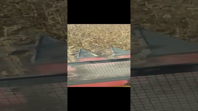 Работа рядной жатки НАШ