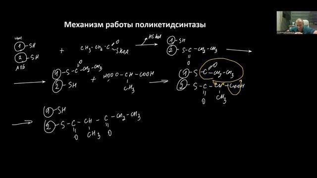 Биотехнология аминогликозидов, макролидов. Метаболическая инженерия. Промышленное производство