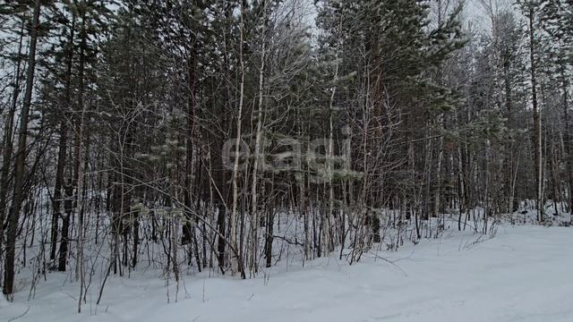 3795899 Озерное