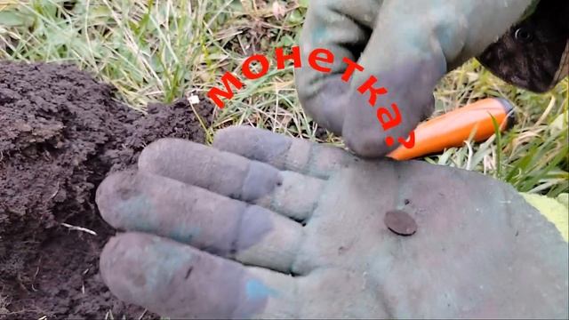 Как я монетку с канцелярской кнопкой спутал...
