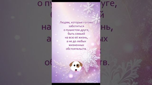 ♥ Бэллочка ждёт вас, самых лучших!!! 🏡🐕