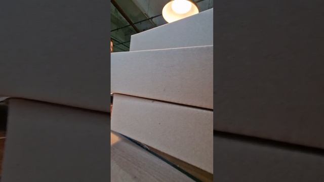 scene_output.mp4