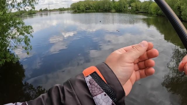 Ловля Уклейки. Маховая удочка. Окунь на мотыля. Поплавочная снасть