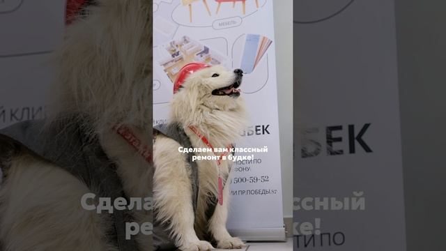 Поможем всем!