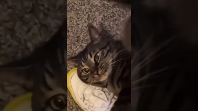 Главное что он счастлив