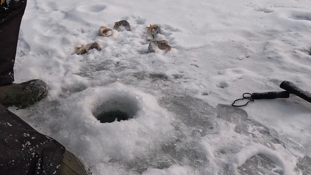 Рыбалка р. Обь. Первый выезд на снегоходе.