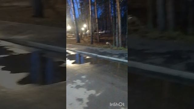 1000003139.mp4