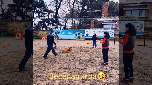 #дрессировкасобакводессе #послушаниесобакодесса #Компаньонодесса #планетакомпаньон