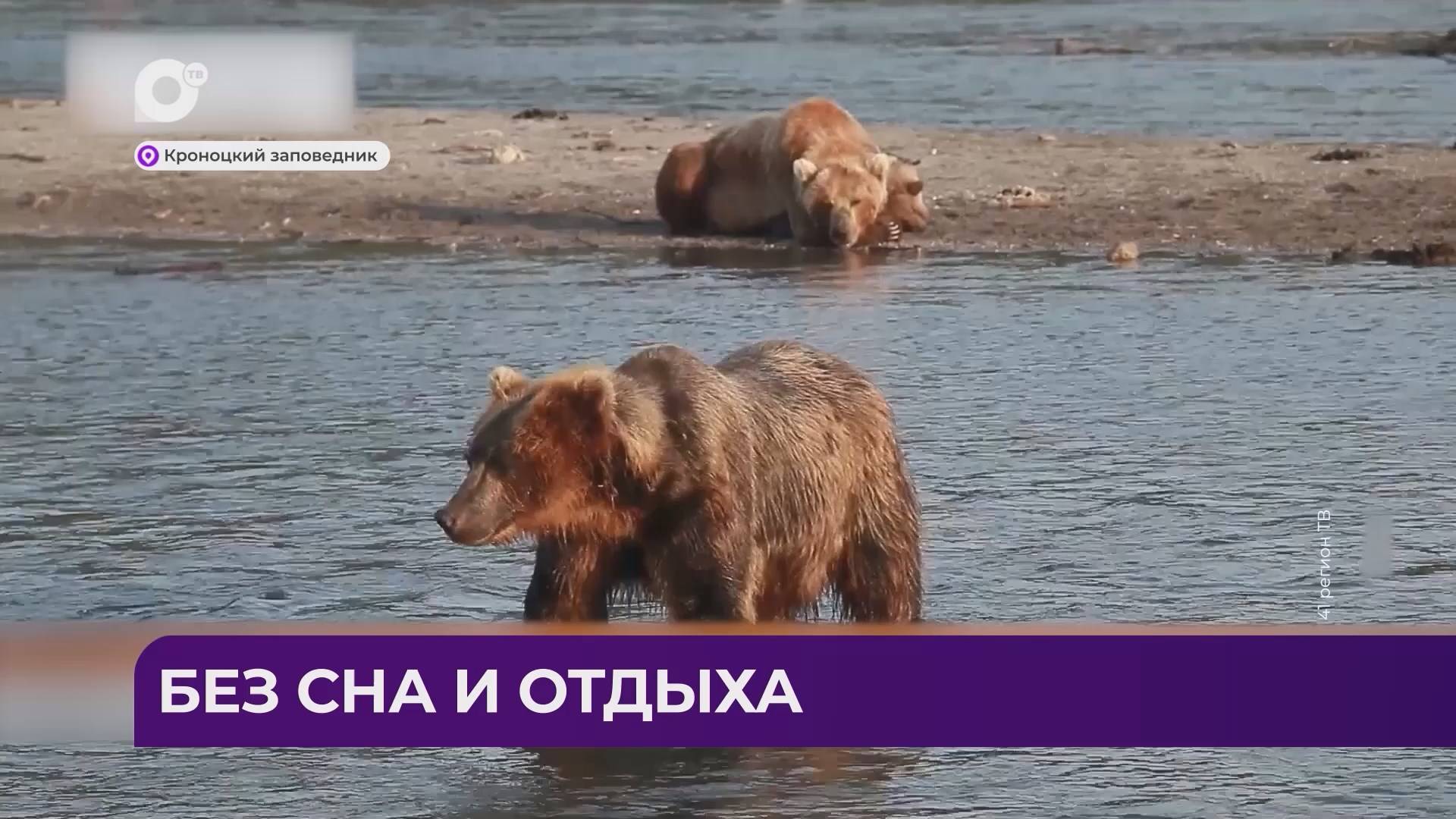 Дальний Восток Блиц / 09.12.24