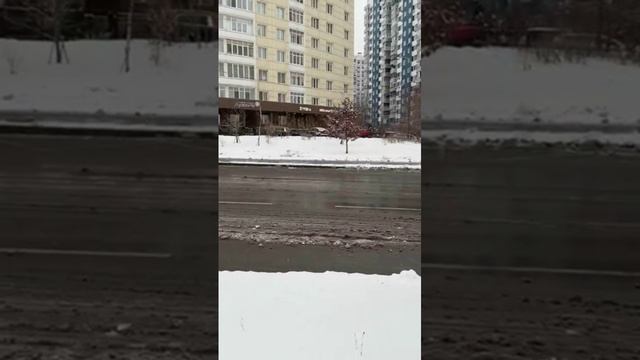 Чтоб снег с дороги не возить,  его надо посреди дороги в жижу превратить - сезонная пословица