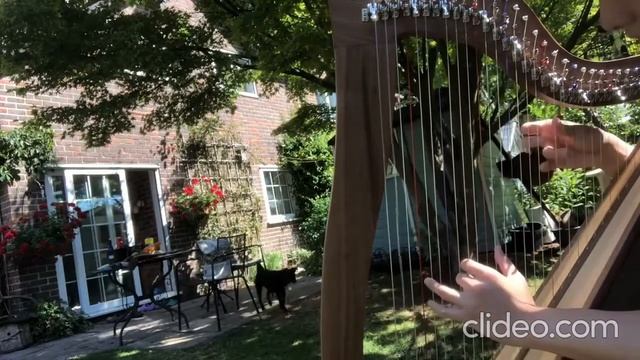Canon in D (Sylvia Woods ver. Harp cover)