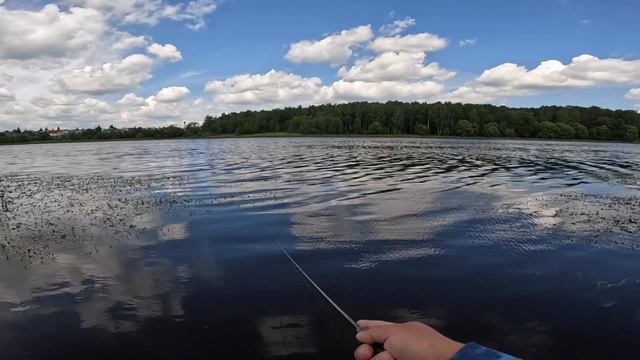 Рыбалка Одной Приманки. Ревизия в Коробках. Окуни в воду. Спиннинг