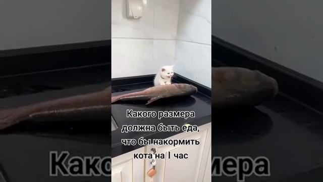 Пожиратель вселенных решил перекусить 😳
