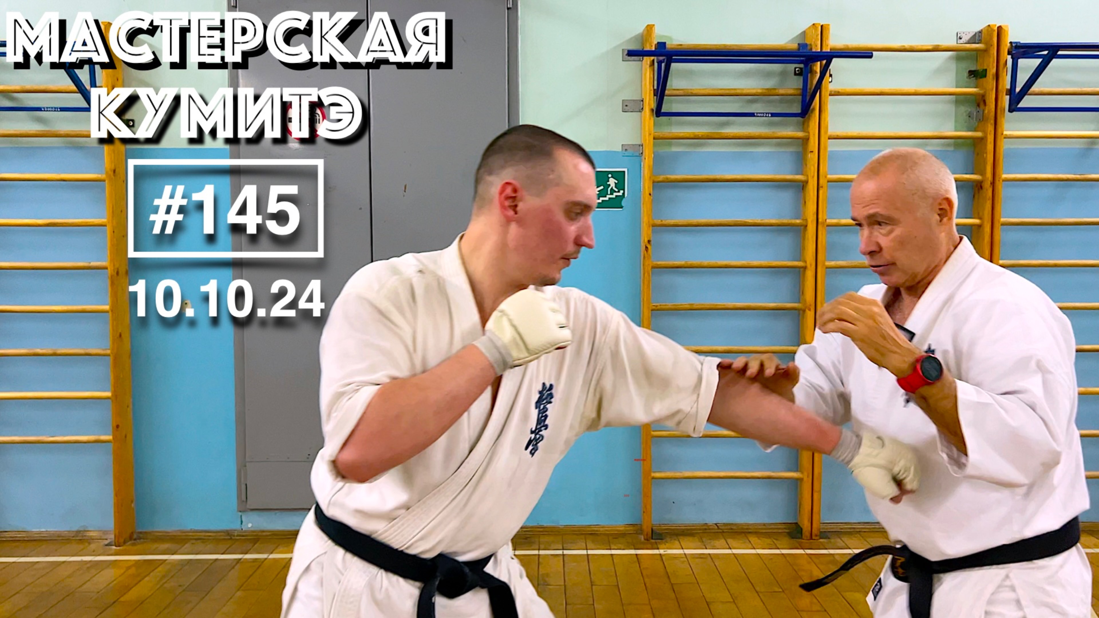 Мастерская Кумитэ Кёкусинкай (145) / Начало поединка / Набивка / Защита (10.11.24)