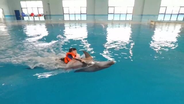 Celia swim with dolphin in Dubai