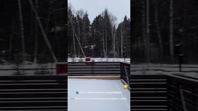 Первый снег Мии❤️