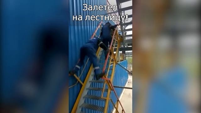 РЖАКА ДО СЛЕЗ 😂 30 Минут смеха 2024 Смешные видео Лучшие Лютые ПРИКОЛЫ #6