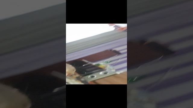 пижама на день ХУДОЖНИКА🥳🥳🥳🥳🥳🥳🥳🥳🥳🥳!!!!!!!!