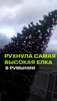 Рухнула самая высокая рождественская елка Румынии - сдуло сильным ветром