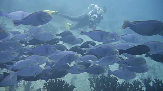 Batu Bolong