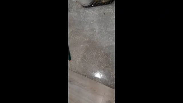 создание террариума