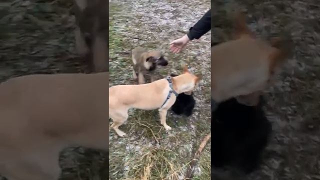 video_2024-12-09_20-34-33