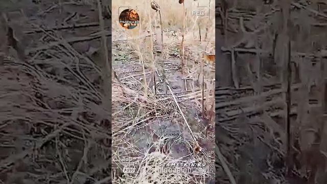 Понедельник!🤗.mp4