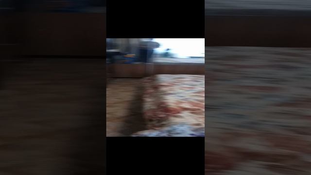 1000010614.mp4