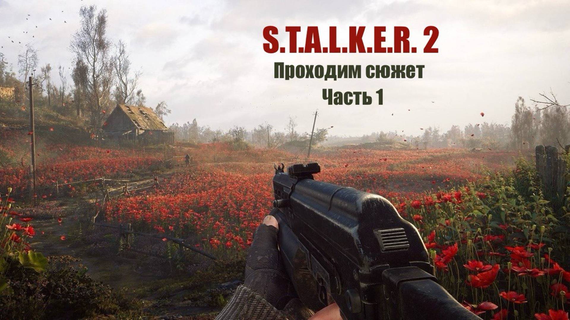 S.T.A.L.K.E.R. 2 - Первый запуск на RTX 4060Ti