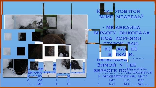 Презентация как звери готовятся к зиме