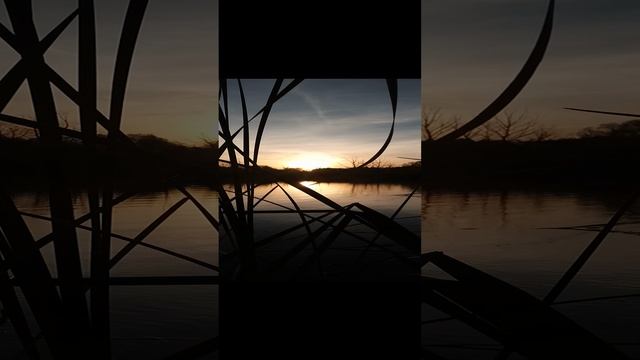 1000010611.mp4