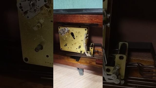 video_2024-11-15_20-07-21