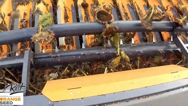 Отрезок видео, как работает жатка Оранж Сид, снятое самим производителем.