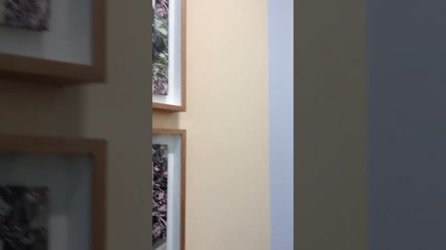 ORLAN at FIAC Paris 2017
