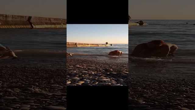 1000010601.mp4