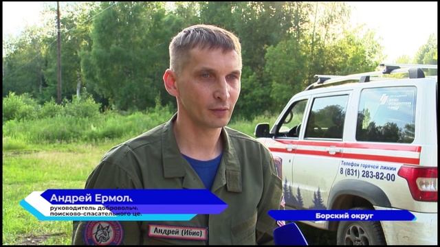 Поисковые рыси