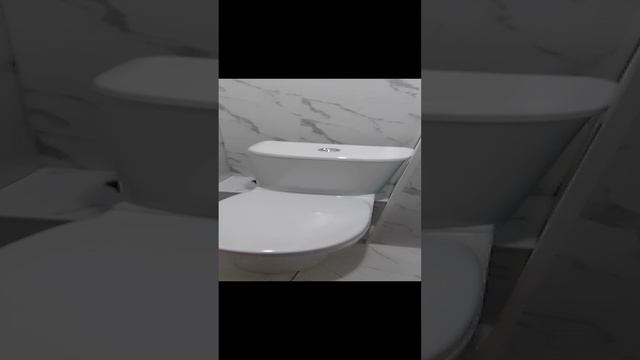 VID_20241209_182328.mp4