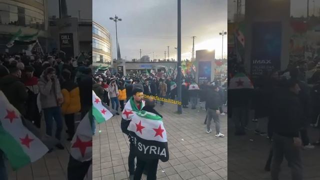 Сирийские беженцы в Германии празднуют смену власти в Сирии