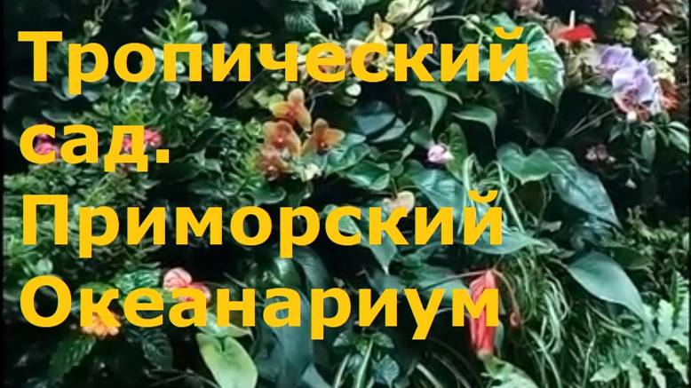 Тропический сад. Приморский Океанариум