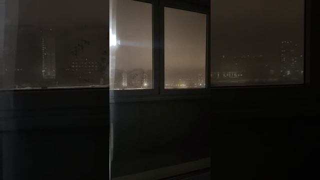 petal_20241209_203908.mp4